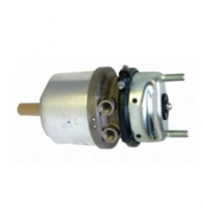 SPRING BRAKE DISC