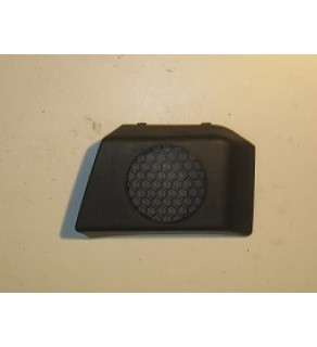 RIGHT DOOR TRIM