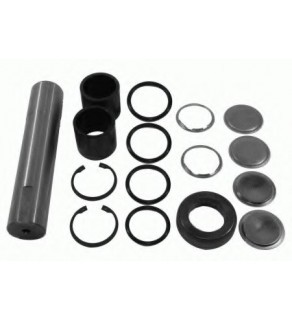  Repair Kit, stub axle pin 45-46X225  M-S FEBI. 
