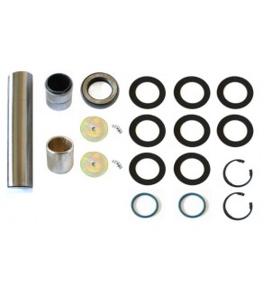 KING PIN SET 224 41,5/42X202