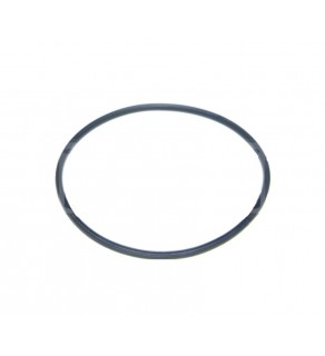 PROFILED O RING 221