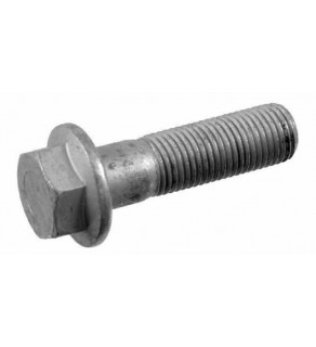 Screw ΜΑΝ 14Χ50 FEBI. 