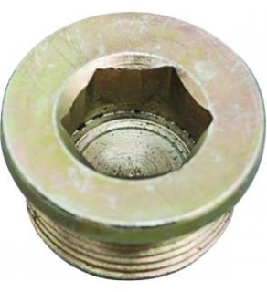 SCREW PLUG  24Χ1.5Χ13 422-463