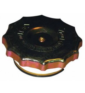 RADIATOR LARGE CAP 361