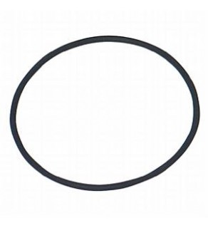 FUEL PUMP SEAL 463