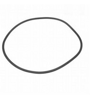 CYLINDER LINER RING D2876