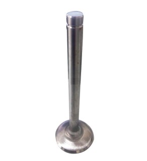 INLET VALVE TGA 460 1NOTCH