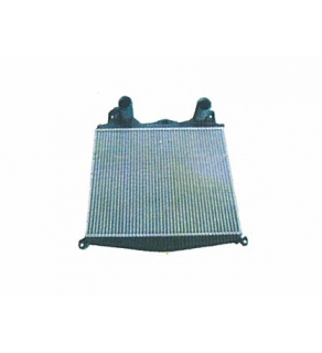 INTERCOOLER TGA