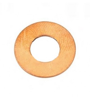 INJECTOR WASHER 464