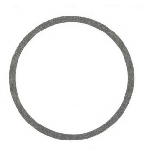 THERMOSTAT GASKET