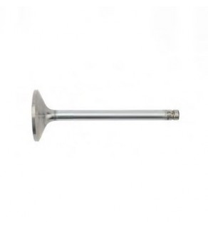 INLET VALVE D0826