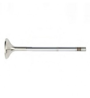EXHAUST VALVE TGA 530 3NOTCH