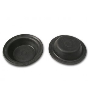 DIAPHRAGM 115