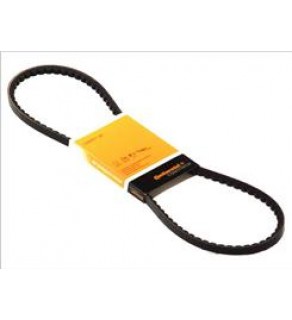 DRIVE BELT