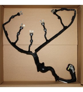 D2066 NOZZLE WIRING