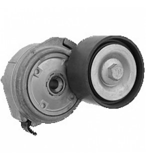 BELT TENSIONER TGA D2066