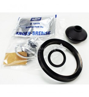 Foot Valve Repair Kit KNORR