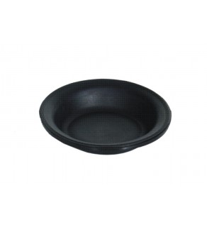 DIAPHRAGM