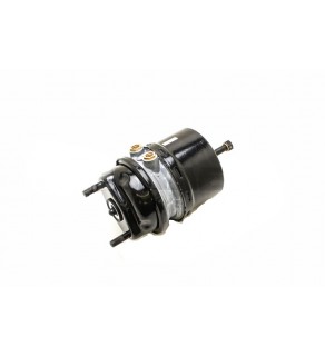 SPRING BRAKE DISC