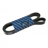 V-RIBBED BELT ATEGO WITH A/C