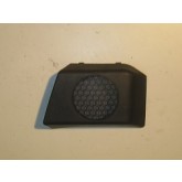 RIGHT DOOR TRIM