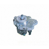 HIGH PRESSURE FUEL PUMP COMMON RAIL