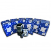 PISTON ASSEMBLY
