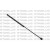 Gas Spring, boot MS ML 