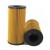 OIL FILTER TGL