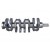 CAMSHAFT OM 502 LA