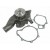 WATER PUMP D0824 LFL