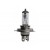 LIGHT BULB Η4 12V P43T+30%